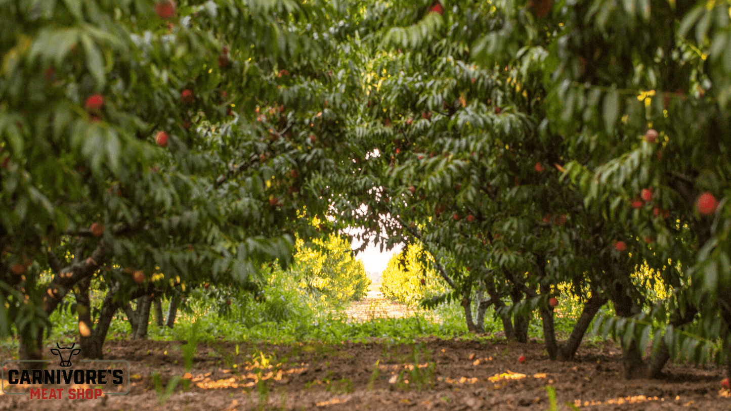 Peach BBQ Wood Pellets by Furtado Farm