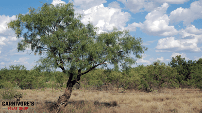 Southern Mesquite BBQ Wood Pellets by Furtado Farms