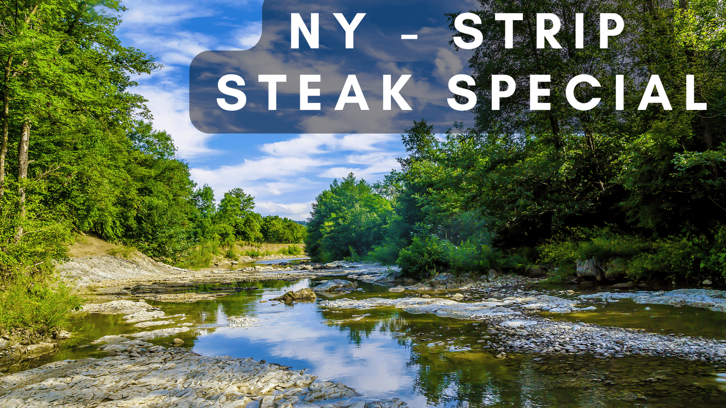 New York Strip Steak Special