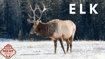 ELK  New York Striploin